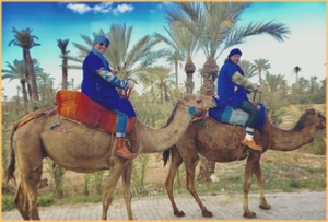 Marrakech camel ride